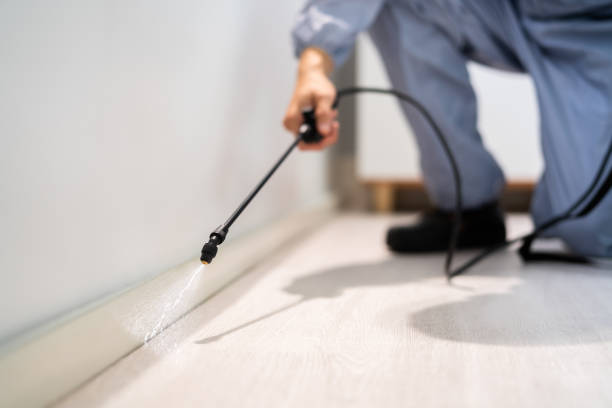 Licensed Mosquito Control service in DeCordova, TX - Show Me Pest Control