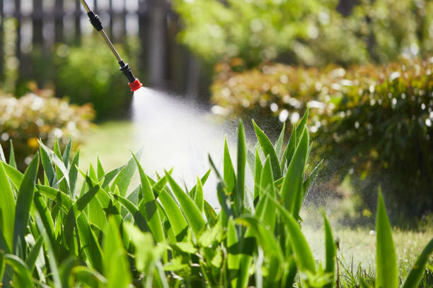 24/7 Emergency Mosquito Control experts in DeCordova, TX
