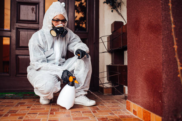 Reliable Mosquito Control contractor in DeCordova, TX by Show Me Pest Control