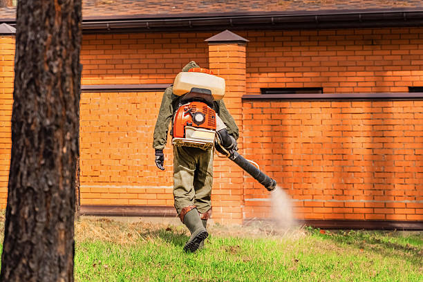 Top rated local Mosquito Control specialists in DeCordova, TX